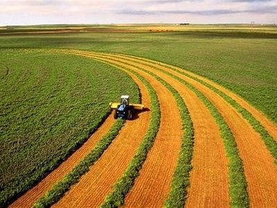 برگزاری بیش از ۷۰ میز کالایی در بخش کشاورزی و صنایع تبدیلی 