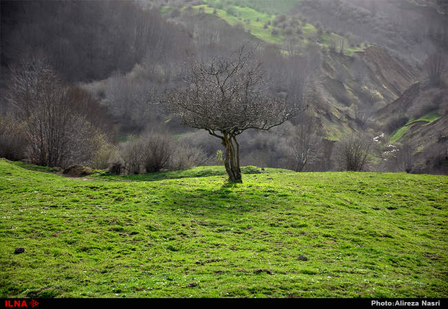 ایران زیبا/ روستای داماش