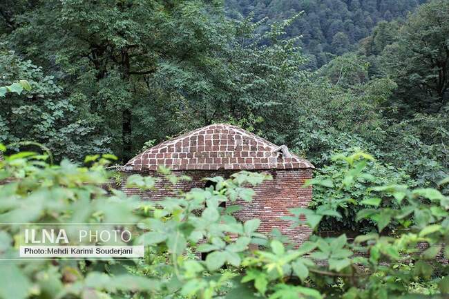 IMG_2026 copy