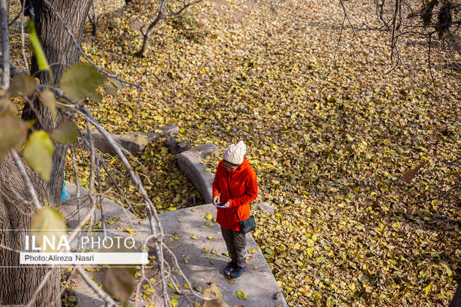 باغستان سنتی؛ میراث کهن مردم قزوین 