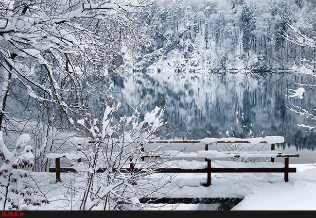 طبیعت یخ زده