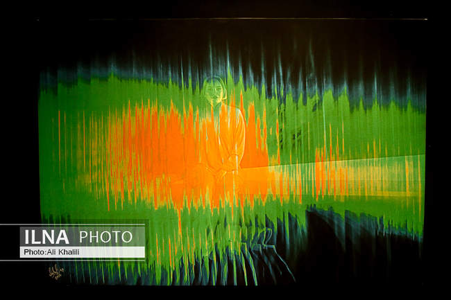 افتتاحیه نمایشگاه عکس «باله در تاریکی»