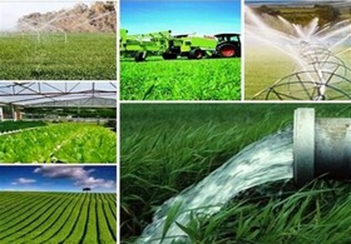53 طرح کشاورزی مازندران در هفته دولت افتتاح و کلنگ‌زنی می‌شود