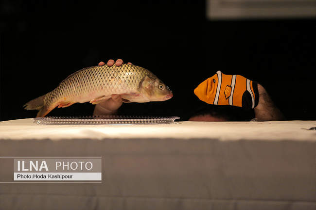 سی و سومین جشنواره تئاتر استان مازندران