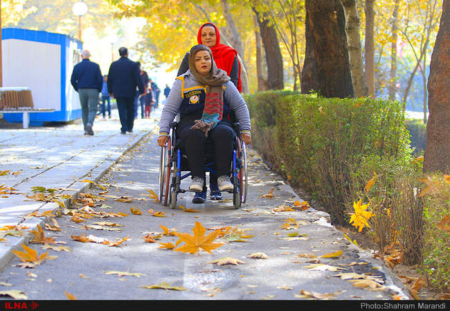 برگ ریزان پاییز اصفهان