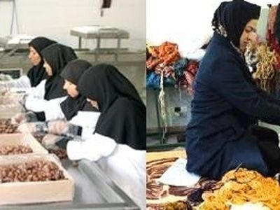 اشتغال بیش از ۲۱ هزار نفر در سامانه رصد در گیلان ثبت شد