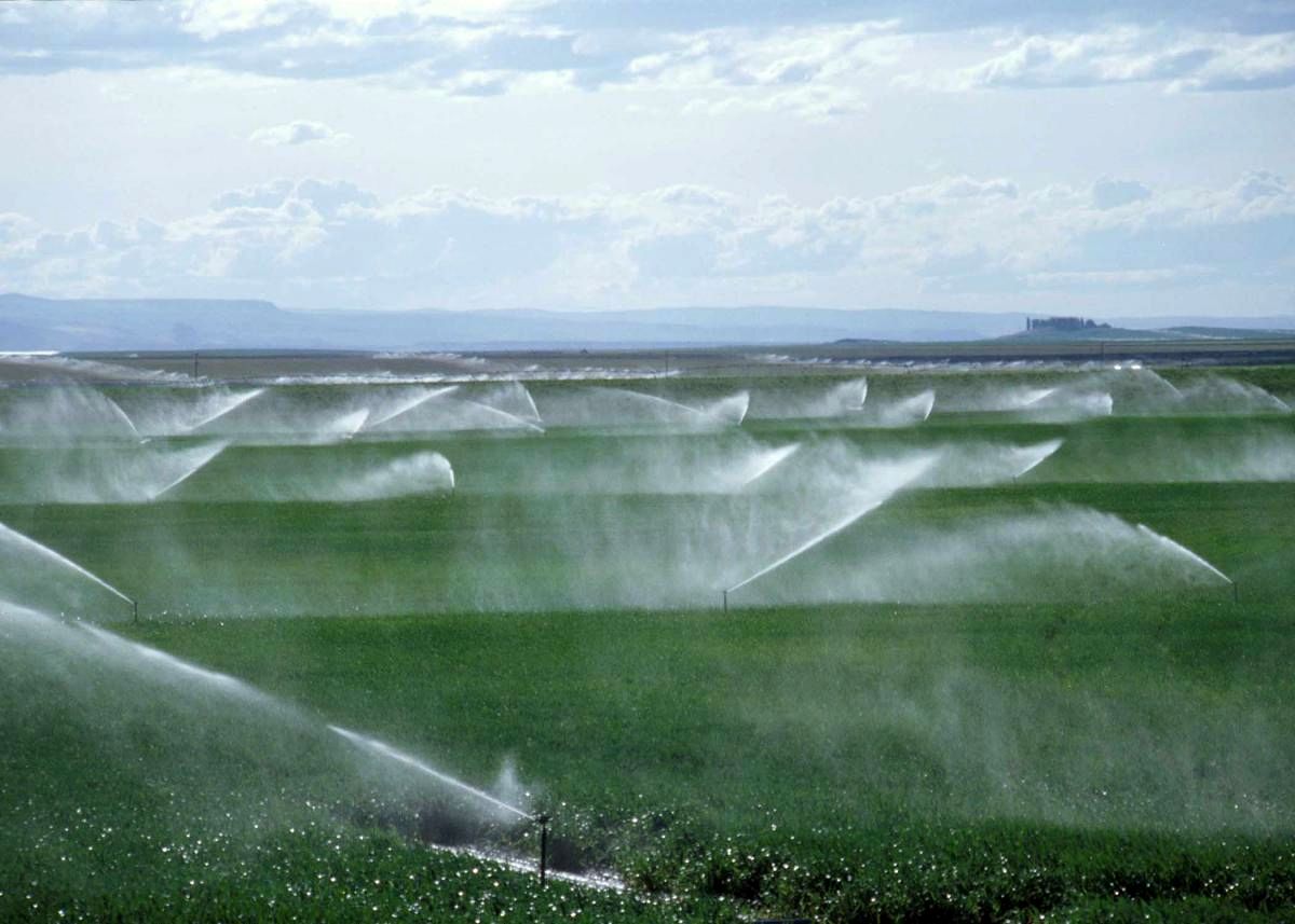 پرداخت وام بلاعوض برای آبیاری زمین های کشاورزی