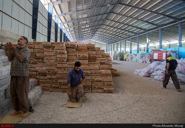 انبار و آشپزخانه ستاد خدمت رسانی آستان قدس رضوی/17