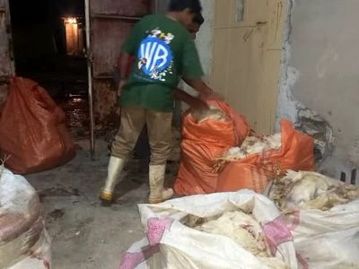در سیلاب بیش از ۲۰ هزار مرغ در روستای «مهدی‌آباد یکمهه» مسجدسلیمان تلف شد