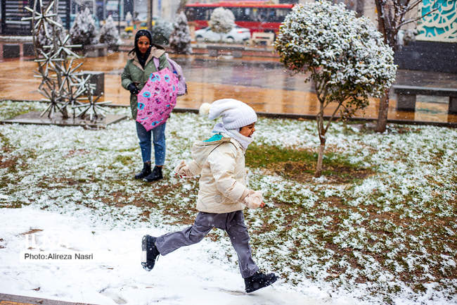 قزوین در آغوش برف به روایت تصویر