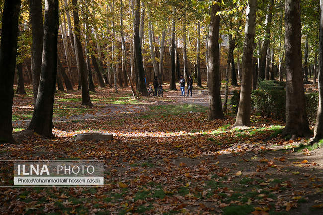 طبیعت پاییزی روستای هویه کردستان