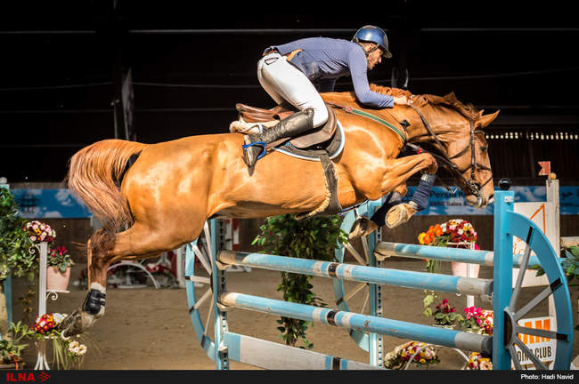 مسابقات بین المللی پرش اسب در مجموعه سوارکاری بام