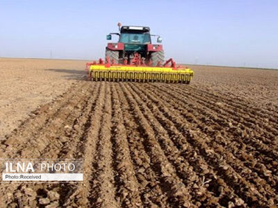 بیش از 9 هزار هکتار از دیم‌زارهای قزوین به زیر کشت رفته است