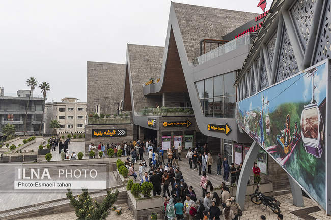 چشم انداز جنگل و دریا در قاب طبیعت