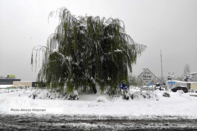 بارش برف پاییزی در تهران/ 2