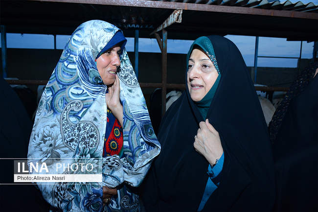 سفر معاون رئیس جمهوری در امور زنان و خانواده به قزوین