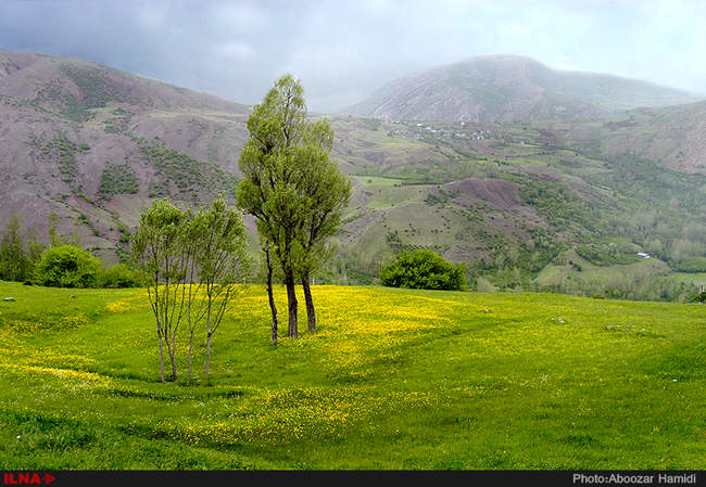 طبیعت بهاری دیلمان استان گیلان
