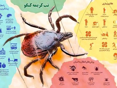 بیماری تب کریمه کنگو را جدی بگیرید/ توصیه های سازمان دامپزشکی/ 28 مبتلا و 3 نفر وفات یافته