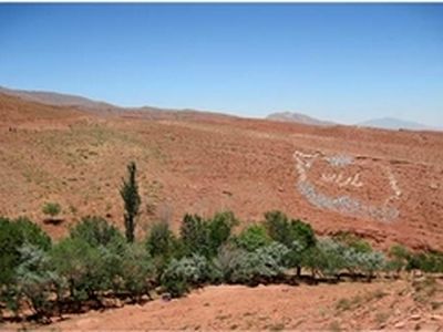 ۳ هزار اصله نهال در دره یاران عینالی تبریز کاشته شد