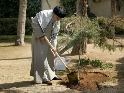 Leader calls for combating deforestation on Natl. Arbor Day