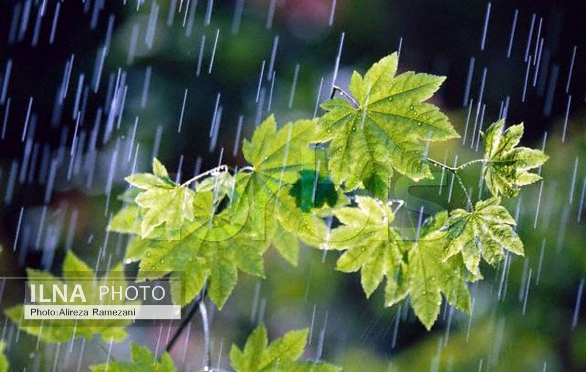 افزایش 61 درصدی بارندگی‌ها در لرستان 