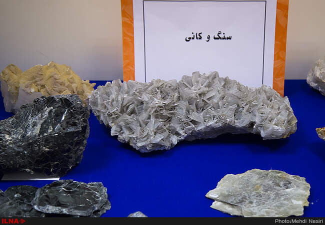 رونمایی از فسیل های هفت میلون ساله