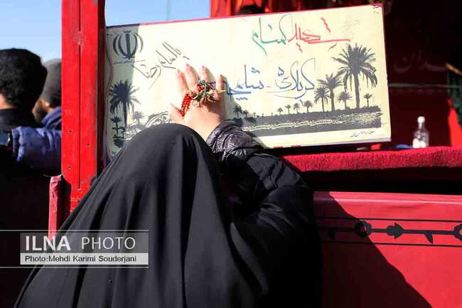 IMG_7584 copy