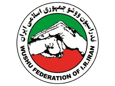 صدیقی رییس فدراسیون ووشو شد
