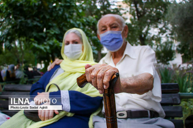 بازنشستگان گنجینه هایی مملو از مهر و تجربه