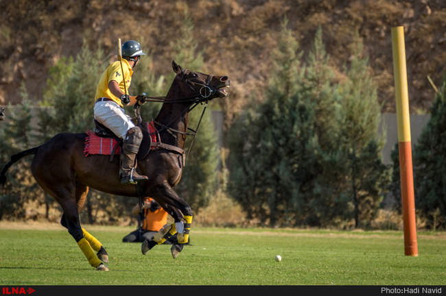 رقابتهای سه گانه چوگان هفته دولت ۱۳۹۵-کانون چوگان/قصرفیروزه