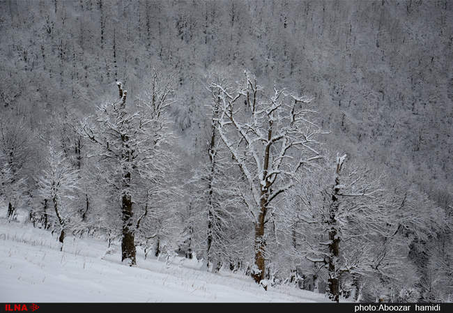 طبیعت زمستان ییلاق اسالم تالش گیلان
