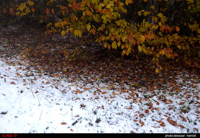 طبیعتِ پاییز در رودبار گیلان