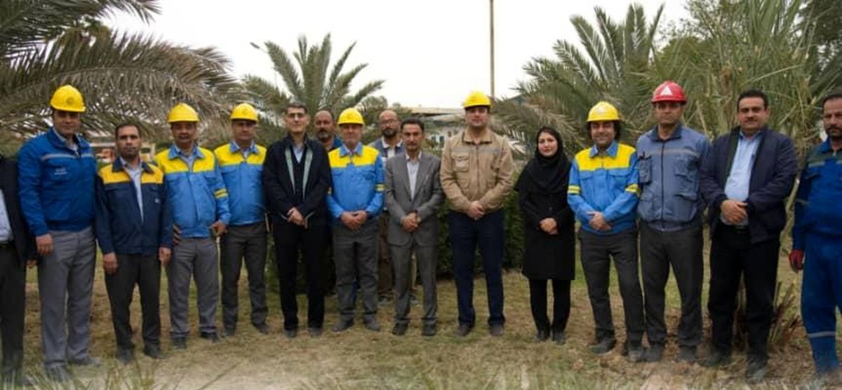 کاشت درخت نخل در پتروشیمی بوعلی سینا توسط کارکنان