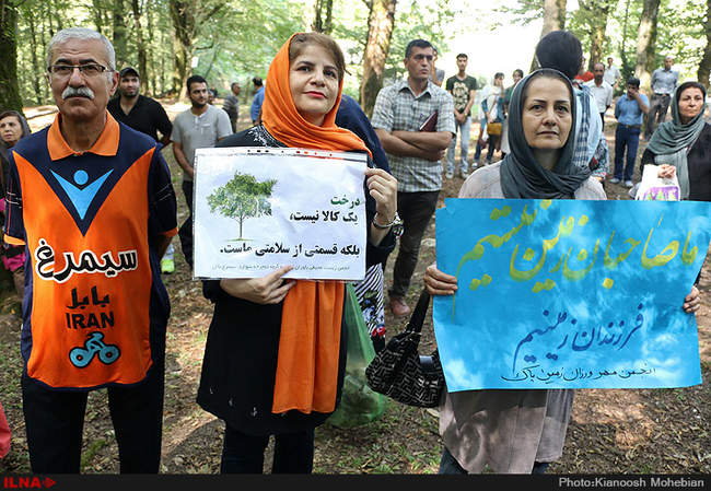 سفر معصومه ابتکار به استان مازندران به مناسبت روز حفاظت از جنگل ها