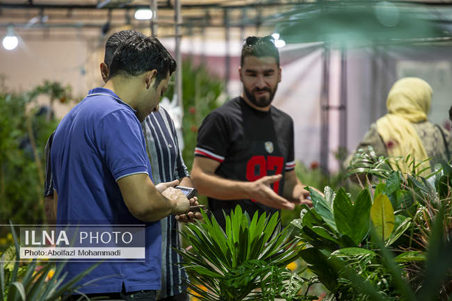 هشتمین نمایشگاه سراسری گل و گیاه در یزد