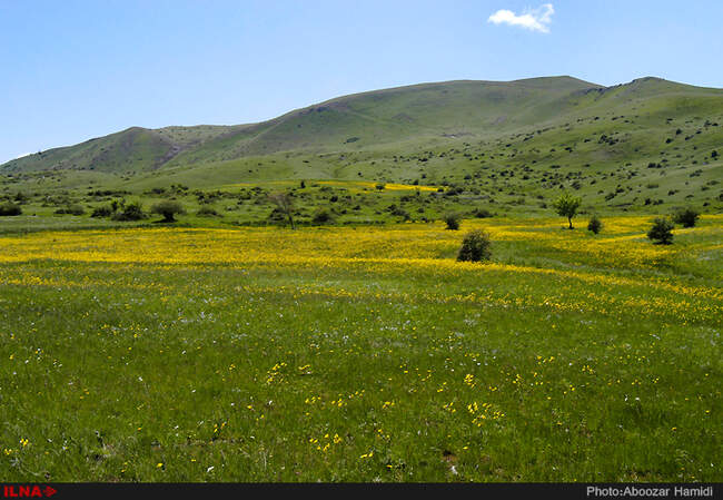 طبیعت بهاری دیلمان استان گیلان