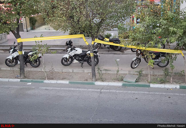 خیابانهای تهران در تصرف سفید بالک ها