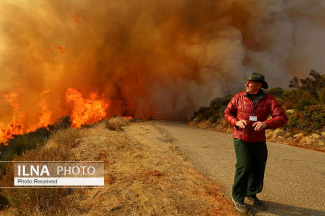 آتش سوزی گسترده در منطقه سانتا باربارا - ایالت کالیفرنیای آمریکا 