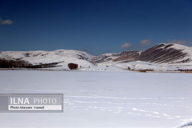 چهره زمستانی تالاب بین المللی قوریگل