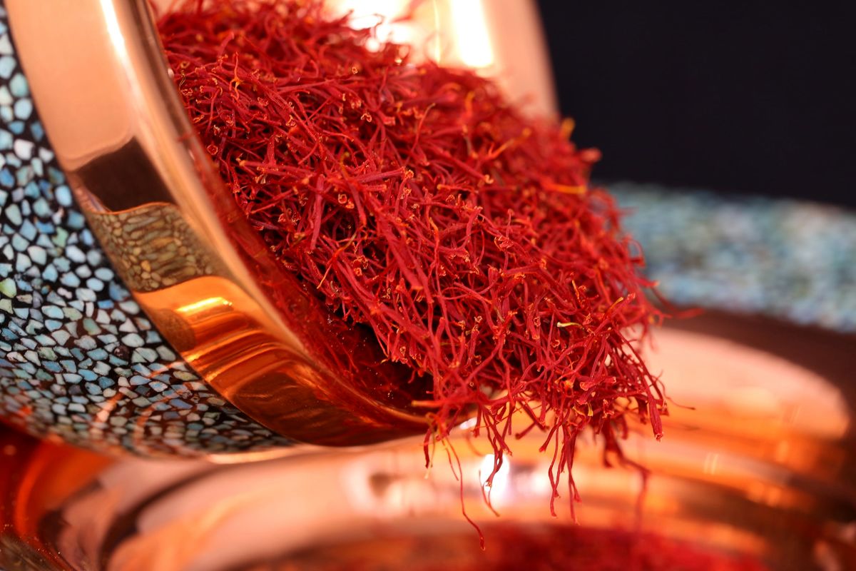 برگزاری چهارمین رویداد ملی استارتاپی زعفران در تربت‌حیدریه