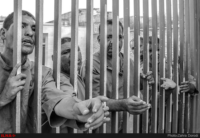 تنهایی پر هیاهو / استان قم