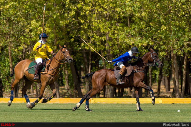 دومین دوره رقابتهای چوگان بانوان «جام شیرین»