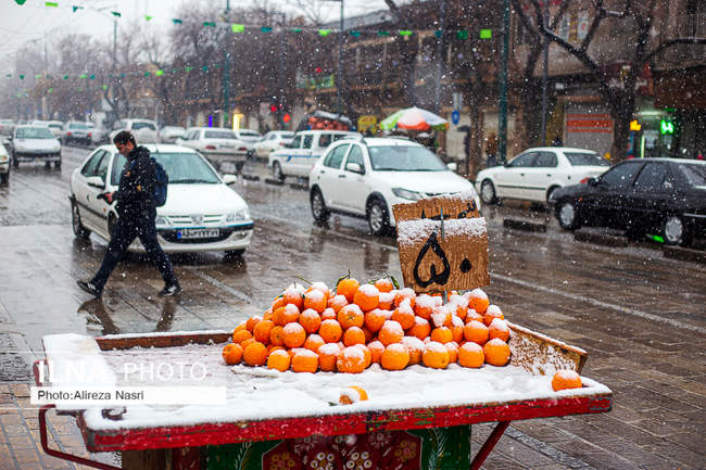 قزوین در آغوش برف به روایت تصویر