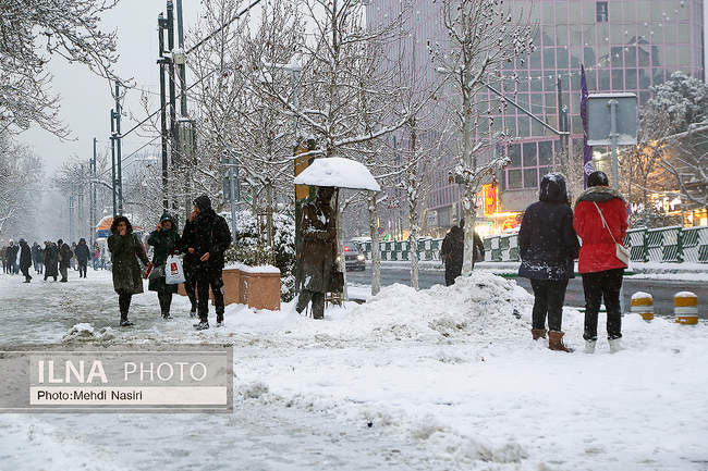 پارک ملت در یک روز برفی
