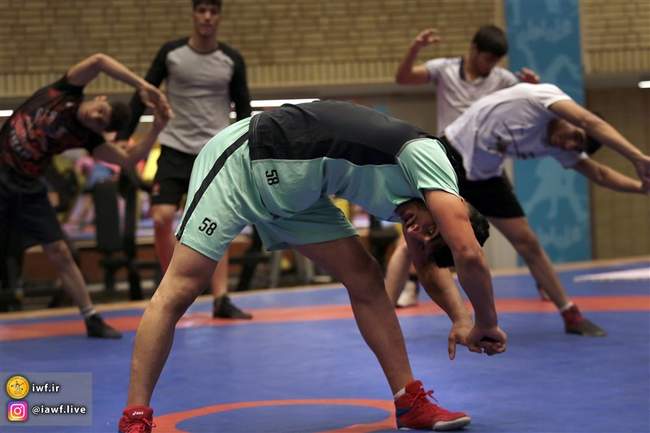 تمرین تیم ملی کشتی فرنگی جوانان با حضور سوریان و دبیر(گزارش تصویری)
