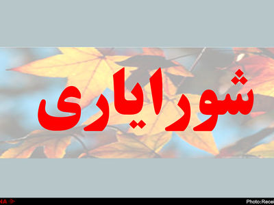 ممنوعیت ارتباط مالی شورایاران با شهرداری‌‌های مناطق/ مردم کارکرد مناسبی از شورایاری‌ها نمی‌بینند
