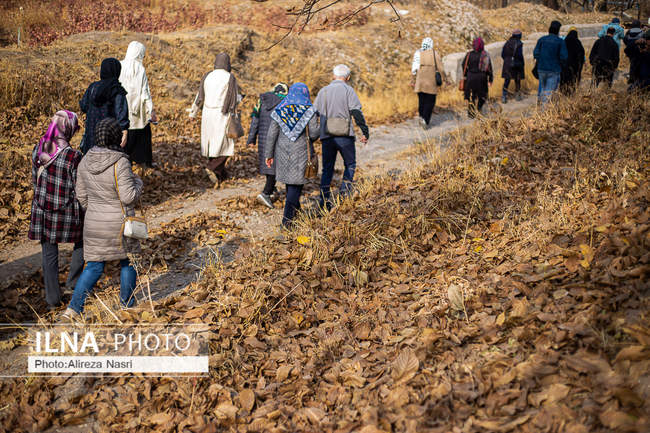 باغستان سنتی؛ میراث کهن مردم قزوین 