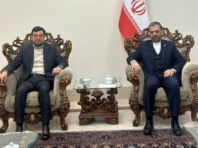 ایران از هیچ اقدامی برای افشای جنایات رژیم صهیونیستی دریغ نکرده است 