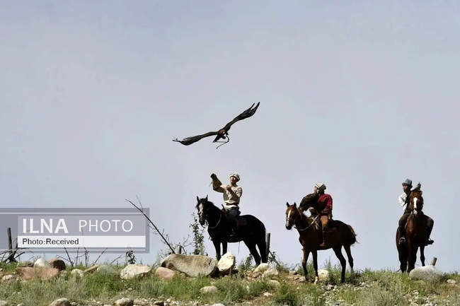 شکار با عقاب در قرقیزستان 
