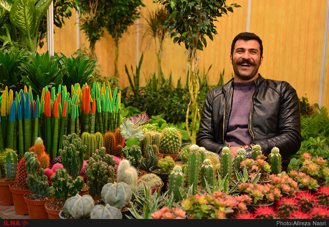 نمایشگاه گل و گیاه در استان قزوین
